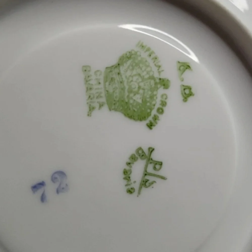 BEAUTIFUL Imperial Crown China PS Bavaria Tea Cup And Saucer (1930-1940)